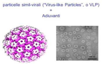 composizione vaccini